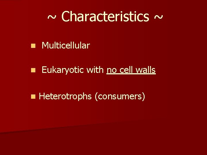 ~ Characteristics ~ n Multicellular n Eukaryotic with no cell walls n Heterotrophs (consumers)