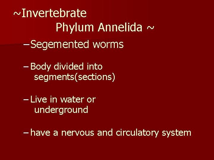 ~Invertebrate Phylum Annelida ~ – Segemented worms – Body divided into segments(sections) – Live