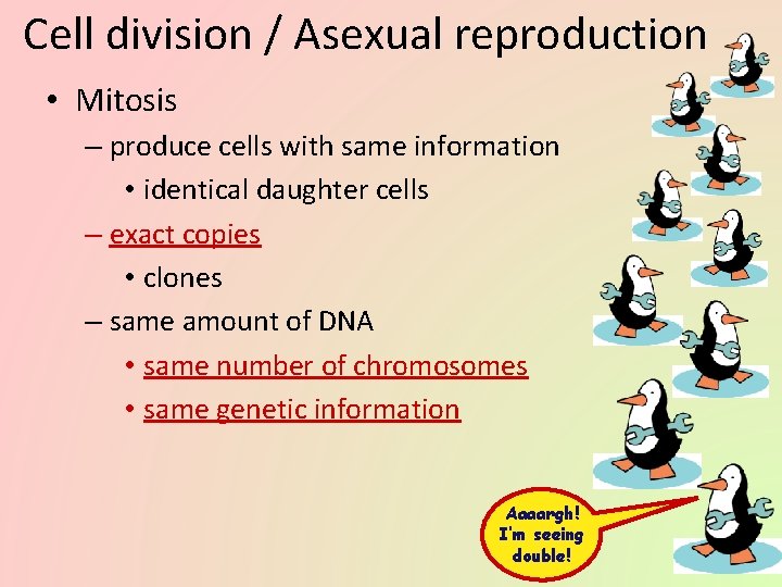 Cell division / Asexual reproduction • Mitosis – produce cells with same information •