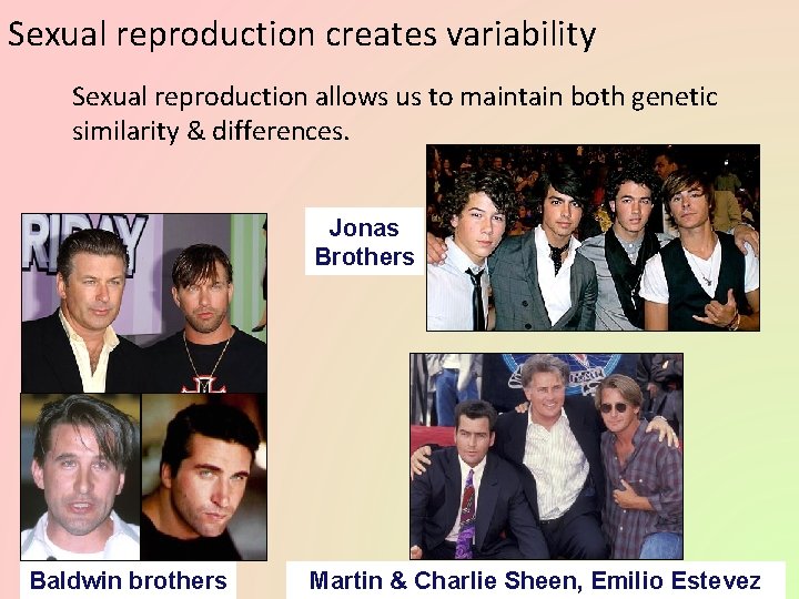 Sexual reproduction creates variability Sexual reproduction allows us to maintain both genetic similarity &