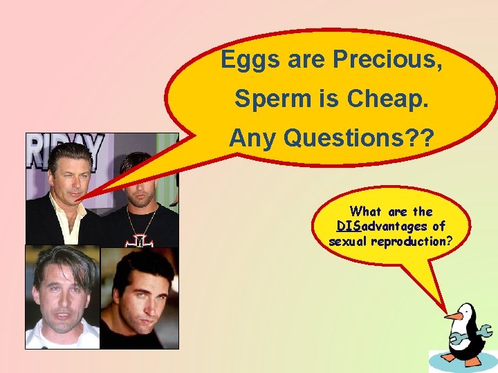 Eggs are Precious, Sperm is Cheap. Any Questions? ? What are the DISadvantages of