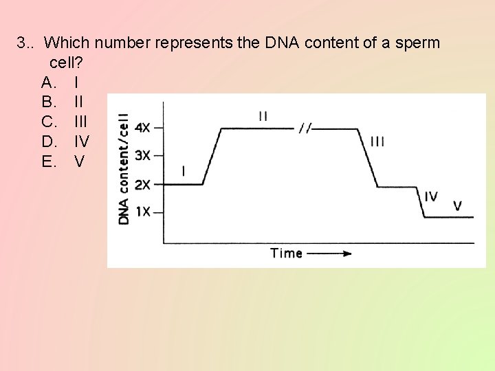 3. . Which number represents the DNA content of a sperm cell? A. I