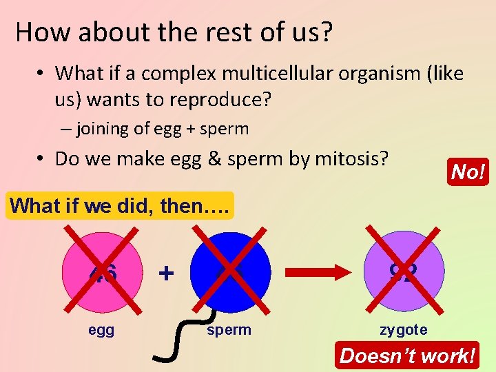 How about the rest of us? • What if a complex multicellular organism (like