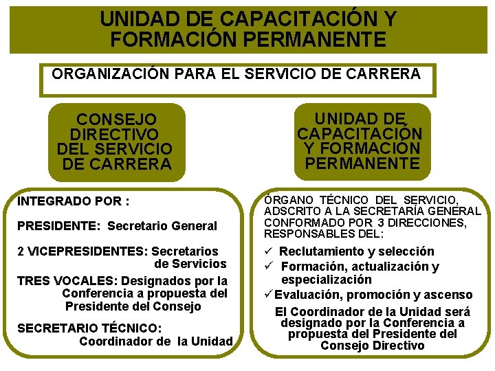 UNIDAD DE CAPACITACIÓN Y FORMACIÓN PERMANENTE ORGANIZACIÓN PARA EL SERVICIO DE CARRERA CONSEJO DIRECTIVO