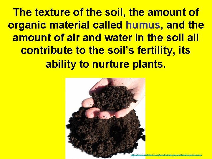The texture of the soil, the amount of organic material called humus, and the The texture of the soil, the amount of organic material called humus, and the