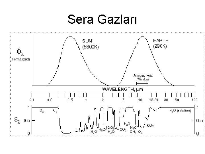 Sera Gazları 