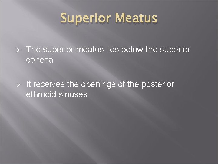 Superior Meatus Ø The superior meatus lies below the superior concha Ø It receives