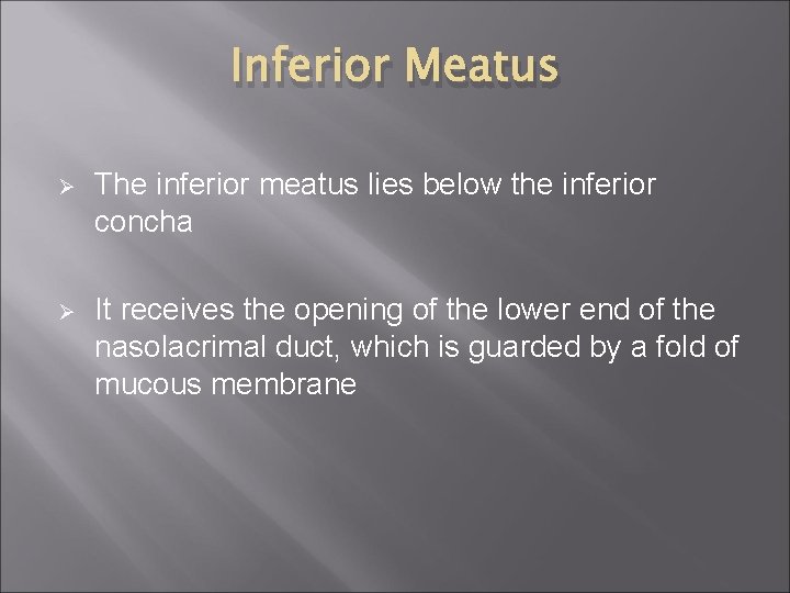 Inferior Meatus Ø The inferior meatus lies below the inferior concha Ø It receives