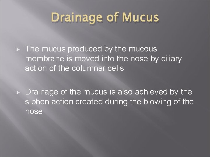 Drainage of Mucus Ø The mucus produced by the mucous membrane is moved into