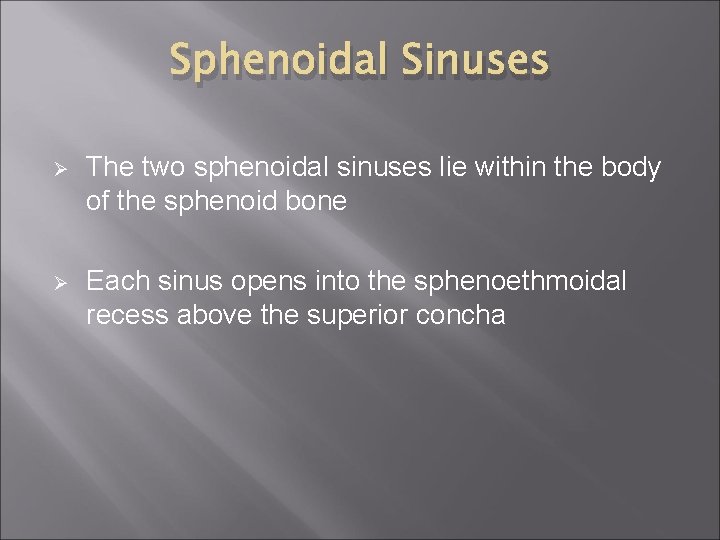 Sphenoidal Sinuses Ø The two sphenoidal sinuses lie within the body of the sphenoid