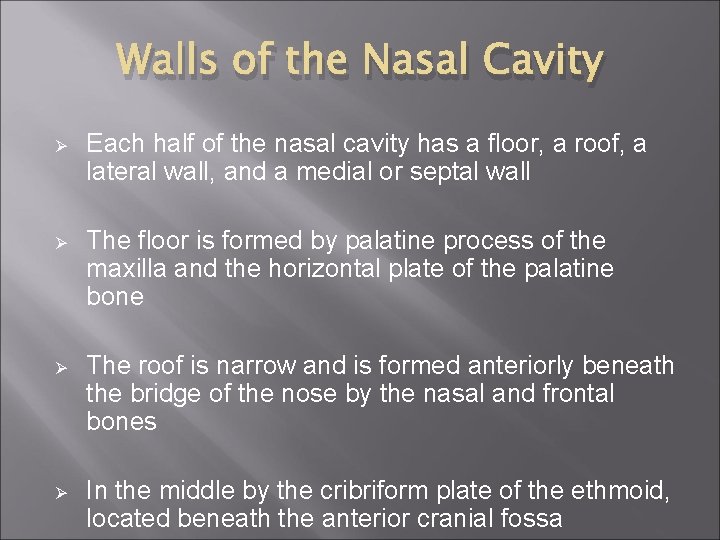 Walls of the Nasal Cavity Ø Each half of the nasal cavity has a