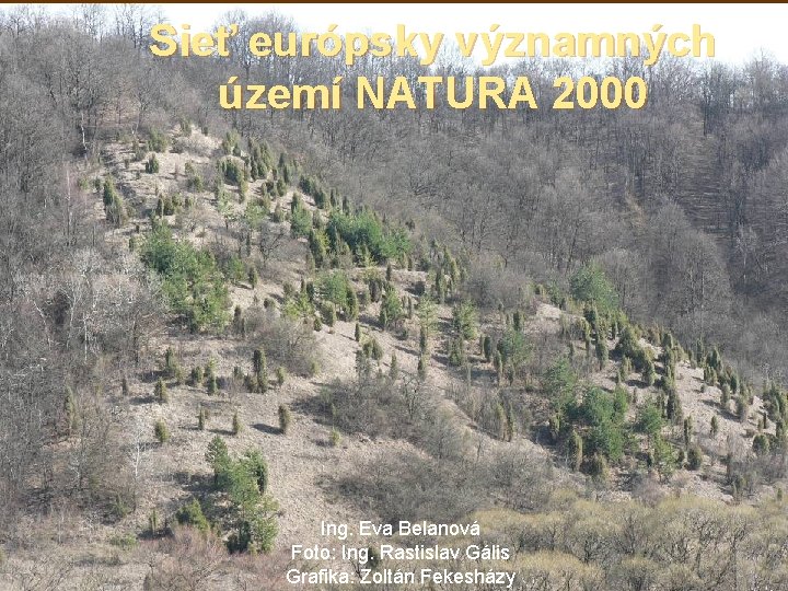 Sieť európsky významných území NATURA 2000 Ing. Eva Belanová Foto: Ing. Rastislav Gális Grafika: