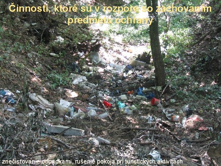 Činnosti, ktoré sú v rozpore so zachovaním predmetu ochrany znečisťovanie odpadkami, rušenie pokoja pri