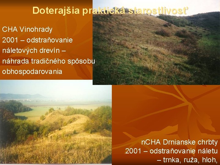 Doterajšia praktická starostlivosť CHA Vinohrady 2001 – odstraňovanie náletových drevín – náhrada tradičného spôsobu