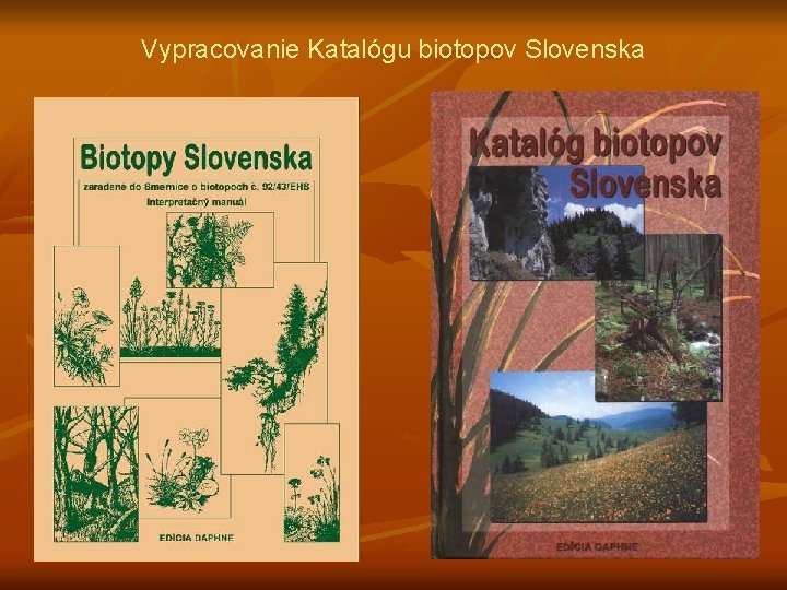 Vypracovanie Katalógu biotopov Slovenska 