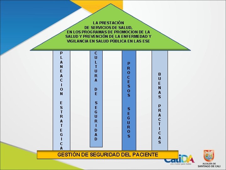 LA PRESTACIÒN DE SERVICIOS DE SALUD, EN LOS PROGRAMAS DE PROMOCION DE LA SALUD