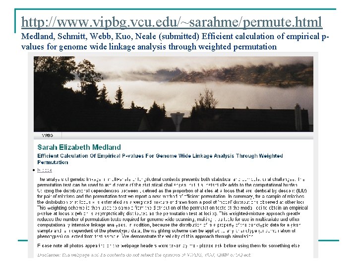 http: //www. vipbg. vcu. edu/~sarahme/permute. html Medland, Schmitt, Webb, Kuo, Neale (submitted) Efficient calculation