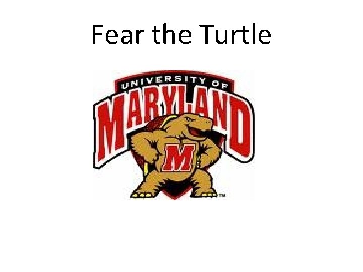 Fear the Turtle 