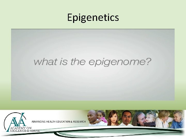 Epigenetics 