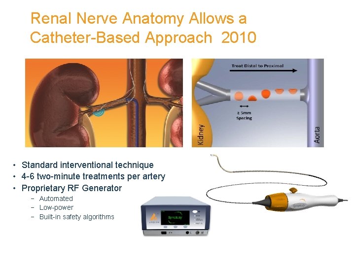 Renal Nerve Anatomy Allows a Catheter-Based Approach 2010 • Standard interventional technique • 4