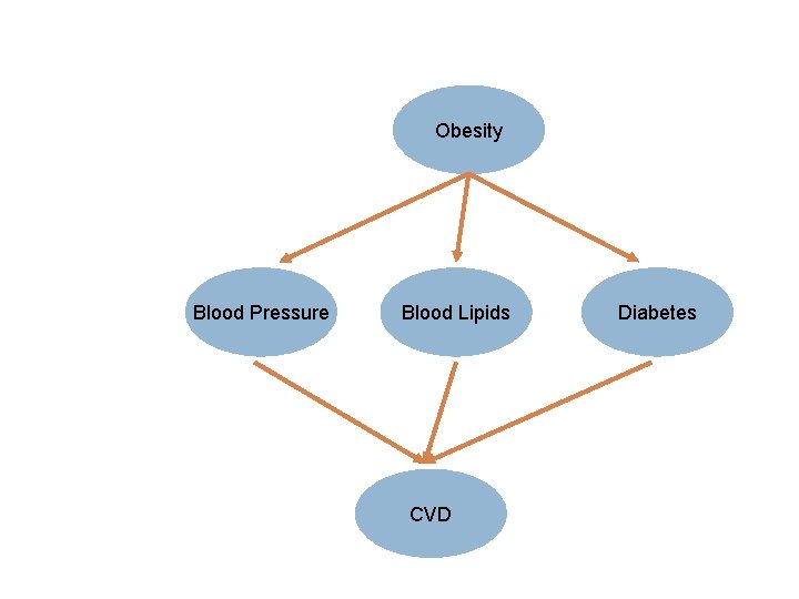 Obesity Blood Pressure Blood Lipids CVD Diabetes 