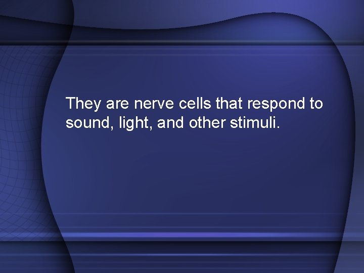 They are nerve cells that respond to sound, light, and other stimuli. 