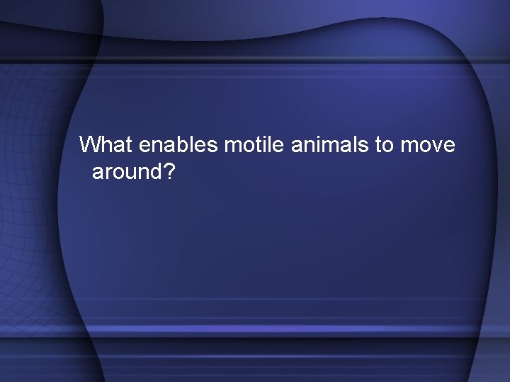 What enables motile animals to move around? 