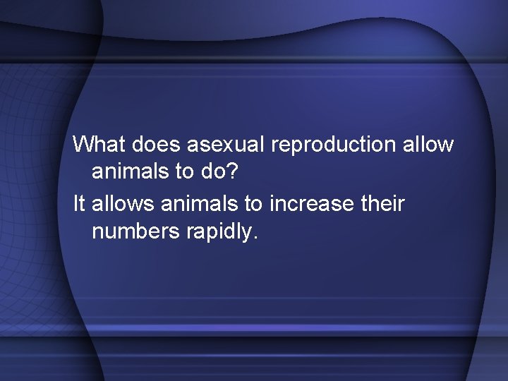 What does asexual reproduction allow animals to do? It allows animals to increase their