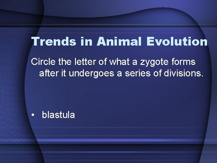 Trends in Animal Evolution Circle the letter of what a zygote forms after it