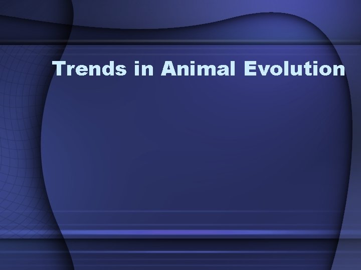 Trends in Animal Evolution 