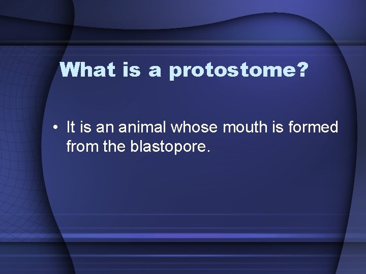What is a protostome? • It is an animal whose mouth is formed from