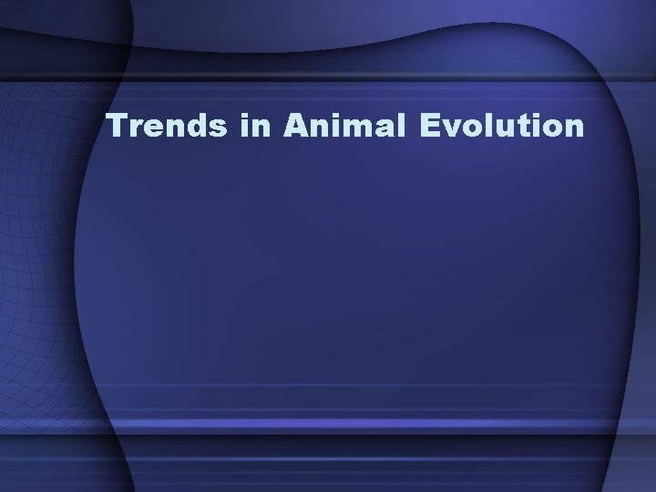 Trends in Animal Evolution 