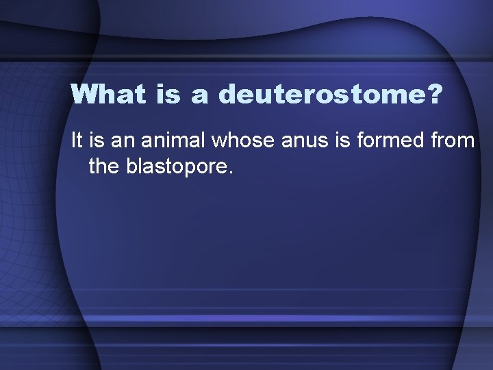 What is a deuterostome? It is an animal whose anus is formed from the