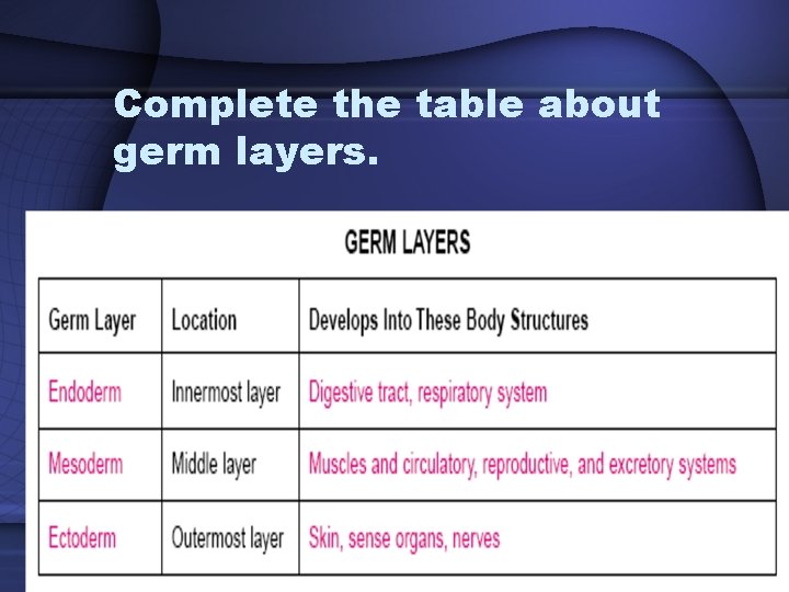 Complete the table about germ layers. 