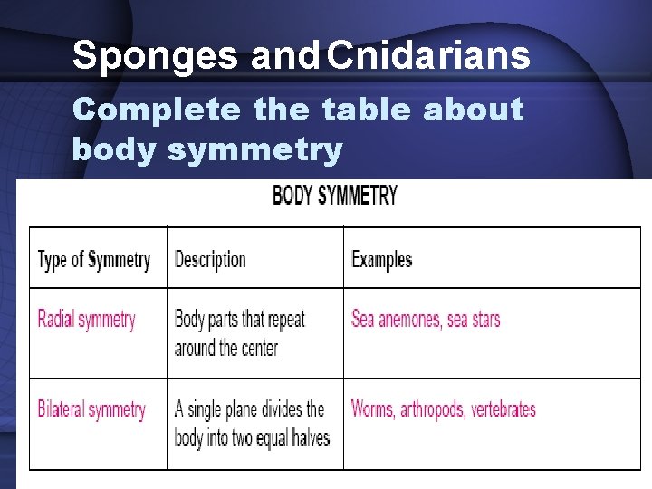 Sponges and Cnidarians Complete the table about body symmetry 