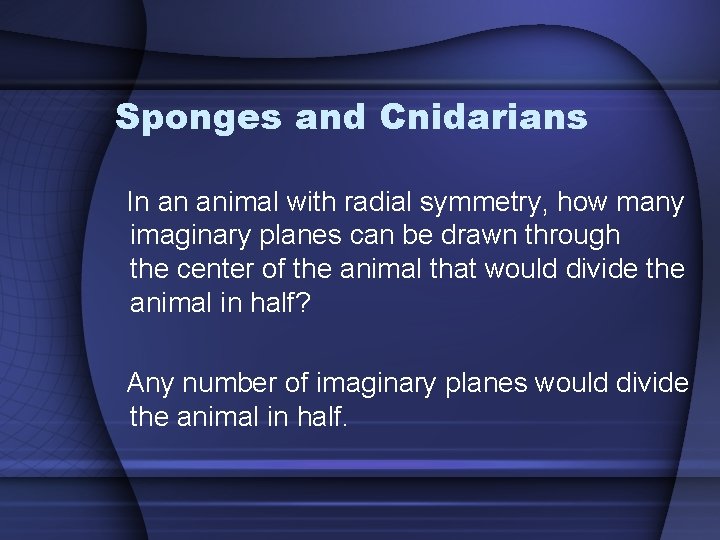 Sponges and Cnidarians In an animal with radial symmetry, how many imaginary planes can