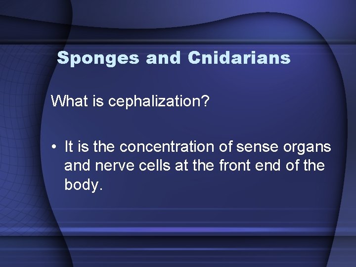 Sponges and Cnidarians What is cephalization? • It is the concentration of sense organs