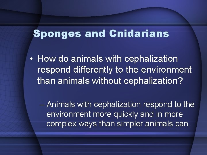 Sponges and Cnidarians • How do animals with cephalization respond differently to the environment