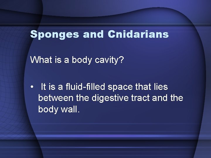 Sponges and Cnidarians What is a body cavity? • It is a fluid-filled space