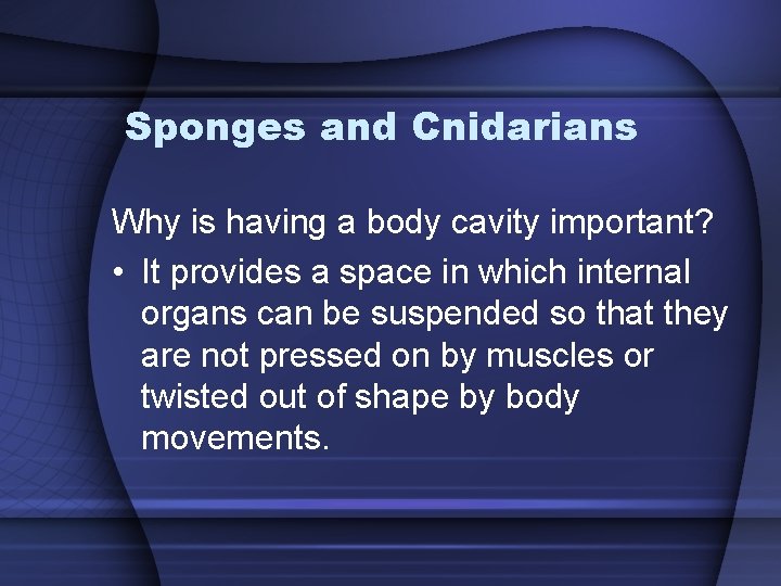 Sponges and Cnidarians Why is having a body cavity important? • It provides a