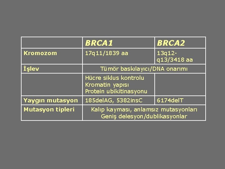 Kromozom İşlev BRCA 1 BRCA 2 17 q 11/1839 aa 13 q 12 q