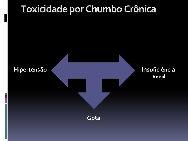 Toxicidade por Chumbo Crônica Hipertensão Insuficiência Renal Gota 