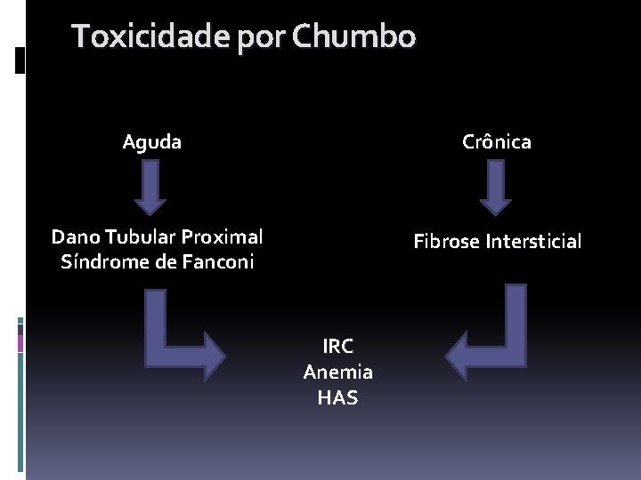 Toxicidade por Chumbo Aguda Crônica Dano Tubular Proximal Síndrome de Fanconi Fibrose Intersticial IRC