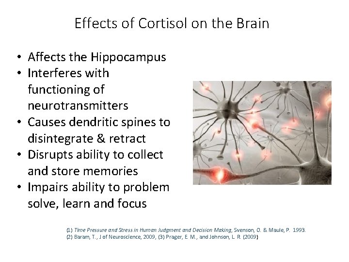 Effects of Cortisol on the Brain • Affects the Hippocampus • Interferes with functioning Effects of Cortisol on the Brain • Affects the Hippocampus • Interferes with functioning
