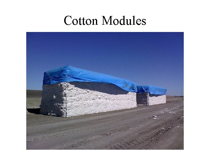 Cotton Modules 