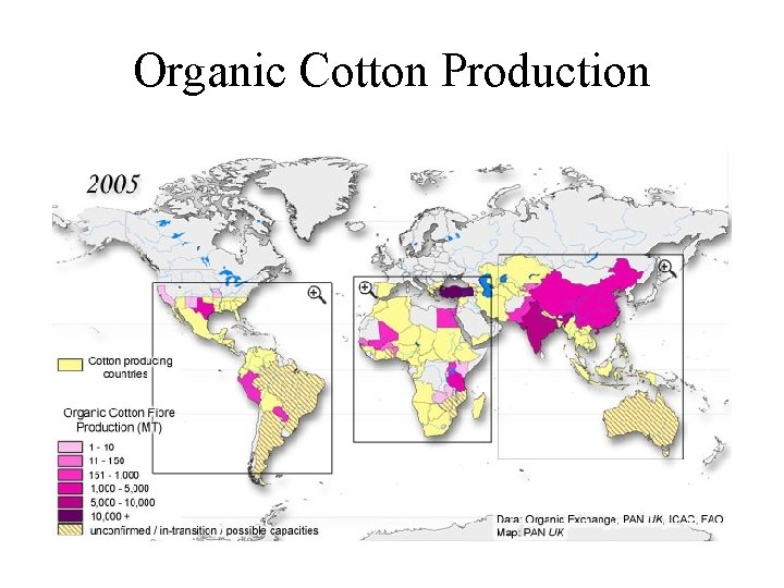 Organic Cotton Production 