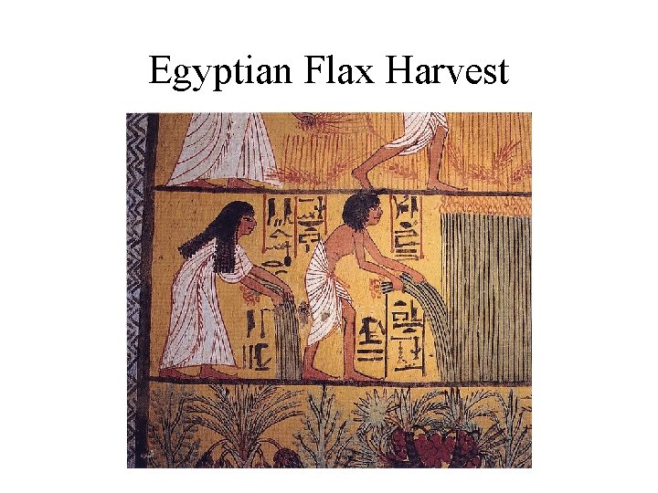 Egyptian Flax Harvest 