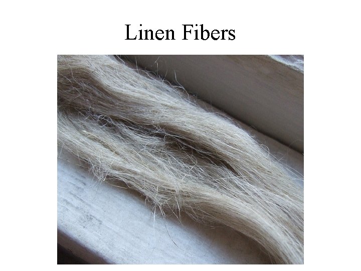 Linen Fibers 