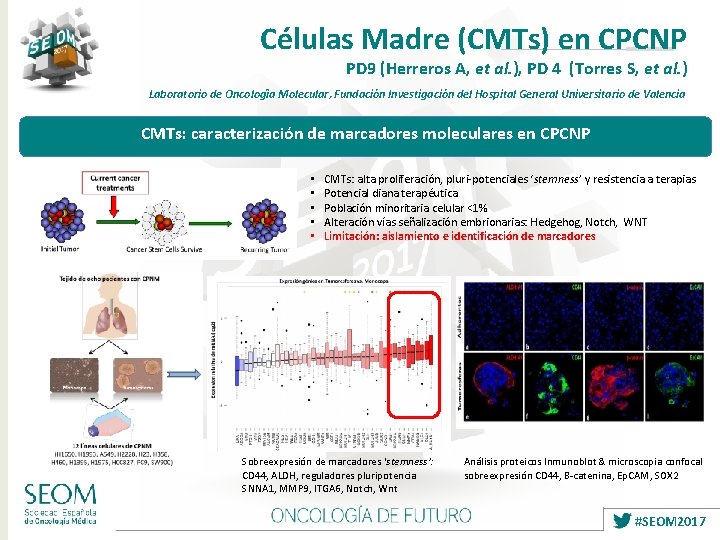 Células Madre (CMTs) en CPCNP PD 9 (Herreros A, et al. ), PD 4