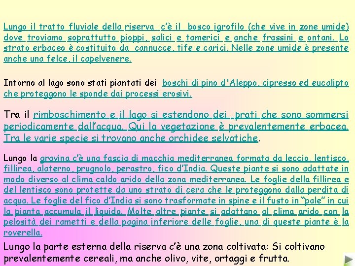 Lungo il tratto fluviale della riserva c’è il bosco igrofilo (che vive in zone